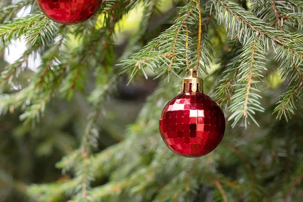 Rote Weihnachtskugeln Mit Spiegelung Schmücken Die Grünen Zweige Des Weihnachtsbaums — Stockfoto