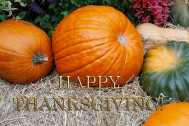 Sonbahar balkabağı arkaplanındaki Şükran Günü mesajınız kutlu olsun. Mesaj atılacak yer, mevsimlik selamlar, sonbahar tatilleri, hasat zamanı, rahat ruh hali.