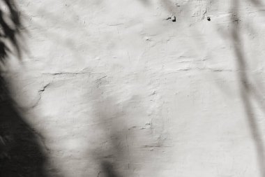 Dokulu beyaz duvardaki gölgeler, fotoğraf, düzen, poster, kırtasiye, duvar sanatı, sunum tasarımı için üstüste efekt olarak kullanılabilir