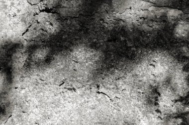 Kaldırım üzerindeki yapraklar, fotoğraflar, planlar, posterler, kırtasiye, duvar sanatı, sunum tasarımı için üstüste efekt olarak kullanılabilir