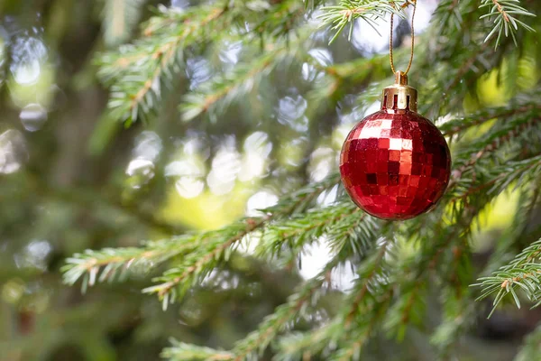 Red Christmas Balls Reflection Decorate Green Branches Christmas Tree Winter — Stock Photo, Image