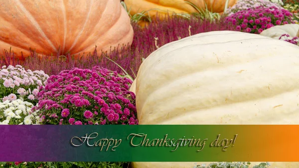 Happy Thanksgiving Text Sign Autumn Pumpkin Background Place Text Seasonal — Stock Photo, Image
