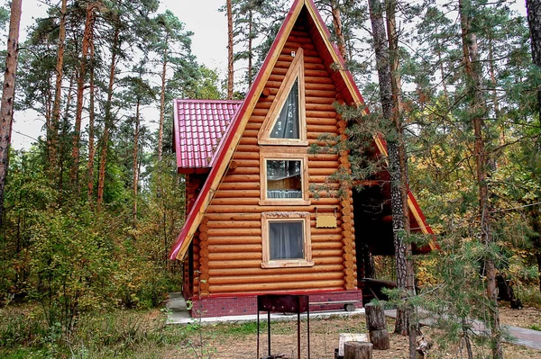 Casa Madera Moderna Entorno Forestal Casa Vacaciones Madera — Foto de Stock