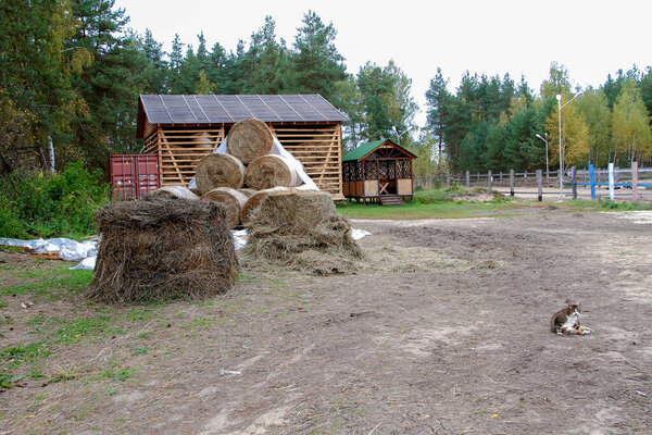 Осеннее сено на ферме. Концепция сбора урожая, сельского хозяйства.