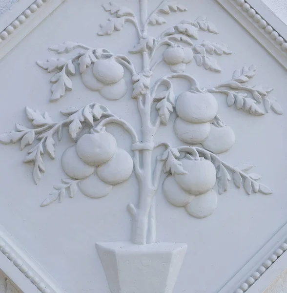 Relieve Yeso Floral Blanco Una Pared Yeso Blanco Elementos Ornamento —  Fotos de Stock