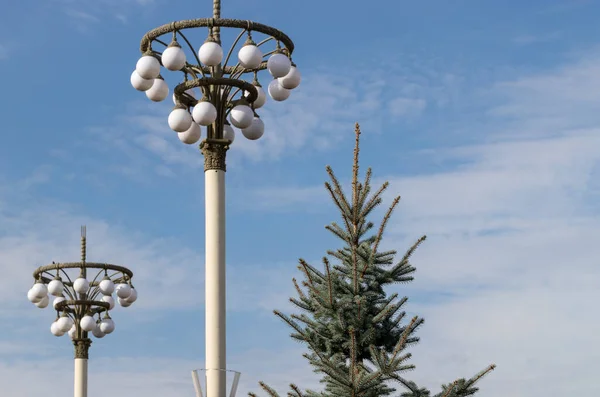 Arka Plan Için Mavi Ladin Dallarına Yakın Plan Noel Tatili — Stok fotoğraf