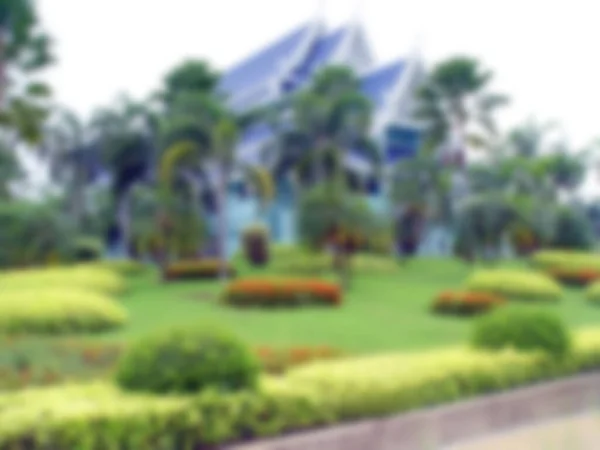 Luxury landscape design of the tropical garden. Defocused image. Blurred background for your design