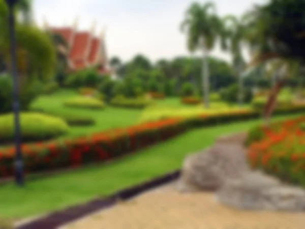 Luxury landscape design of the tropical garden. Defocused image. Blurred background for your design
