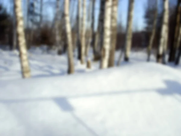 Fotografia Sfocata Sfondo Sfocato Della Foresta Invernale Alberi Coperti Neve — Foto Stock