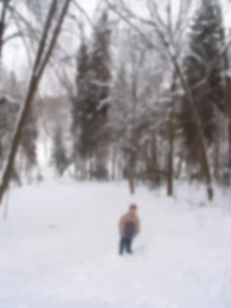 Gedeconcentreerde Fotografie Wazige Achtergrond Van Winterbos Bomen Bedekt Met Sneeuw — Stockfoto