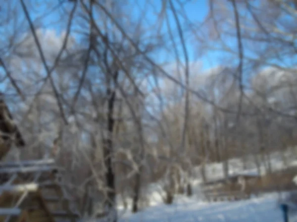 Fotografía Desenfocada Fondo Borroso Del Bosque Invierno Árboles Cubiertos Nieve —  Fotos de Stock