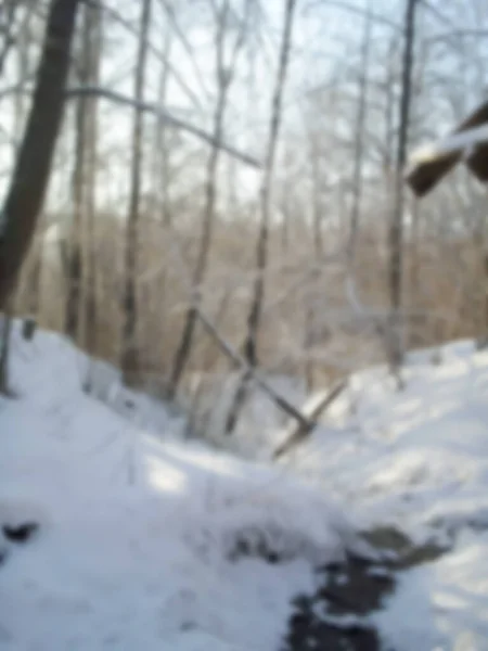 Fotografia Sfocata Sfondo Sfocato Della Foresta Invernale Alberi Coperti Neve — Foto Stock