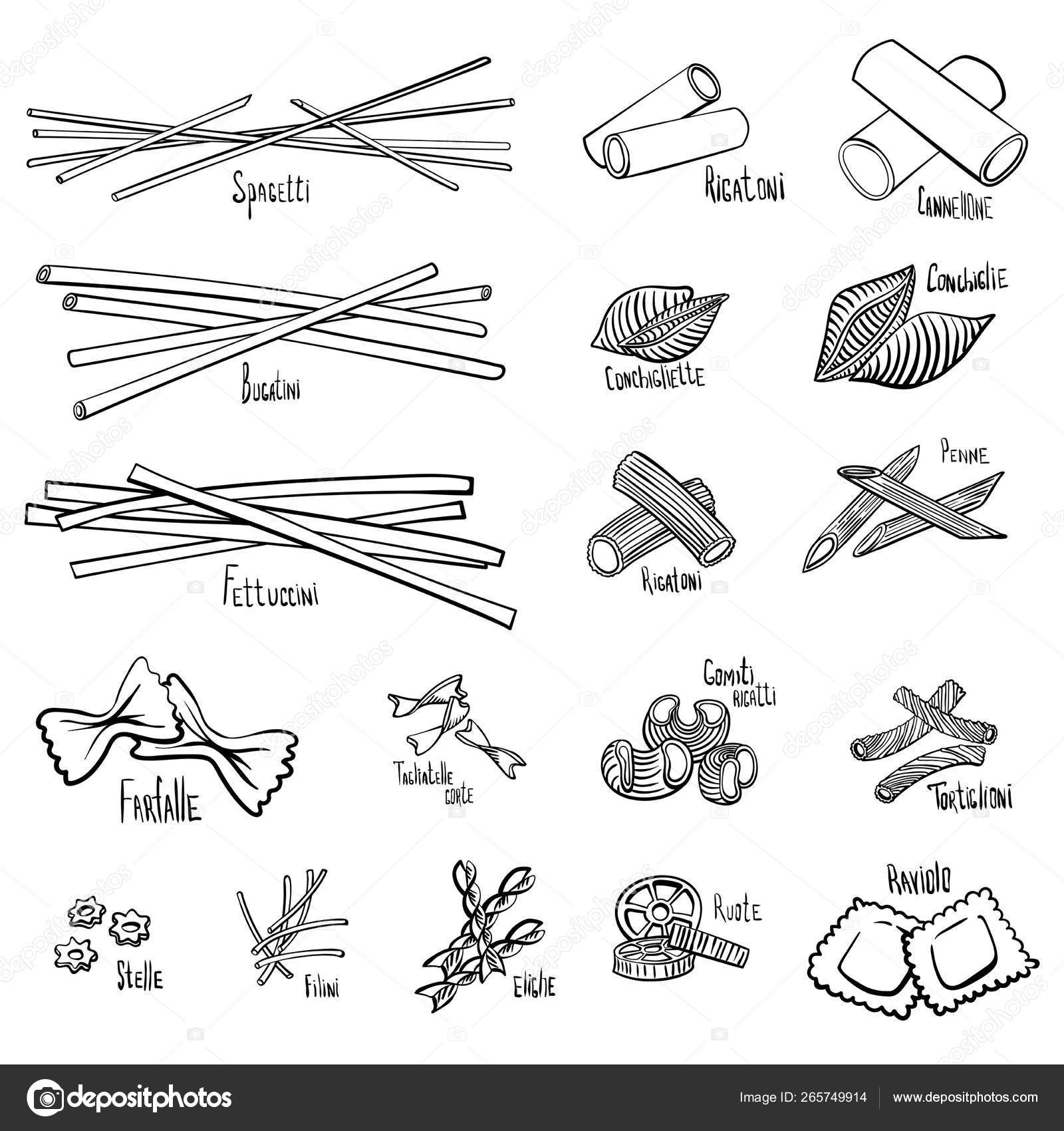 Image vectorielle Un ensemble de différents types de pâtes par  ©Sergey-Accha - 265749914, image size:1600x1700