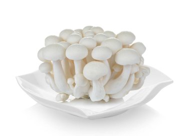 Beyaz kayın mantar, Shimeji mantar, yenilebilir mantar plaka beyaz arka plan üzerinde