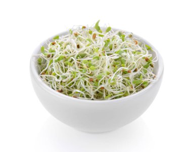 Yonca filiz beyaz zemin üzerine bir kase