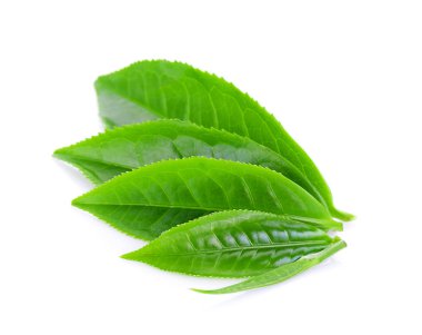 Beyaz arkaplanda yeşil çay yaprağı izole