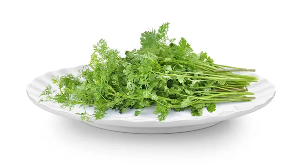 Coriander Plate White Background — Stock Photo, Image