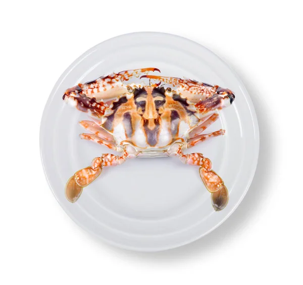 Crab Plate White Background — Stock Photo, Image