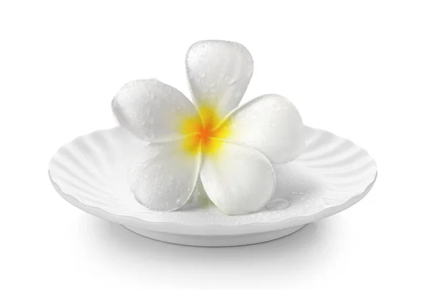 Flores Tropicales Frangipani Plato Blanco Sobre Fondo Blanco —  Fotos de Stock