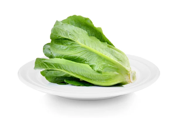 Cos Lettuce Een Plaat Witte Achtergrond — Stockfoto