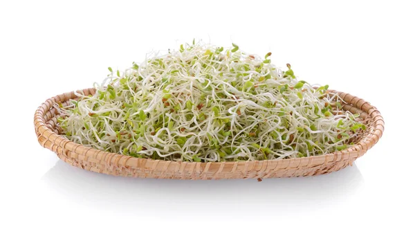 Brote Alfalfa Cesta Sobre Fondo Blanco — Foto de Stock