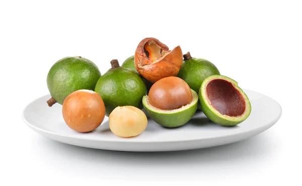 Macadamia Nut Desce Izolovaných Bílém Pozadí — Stock fotografie