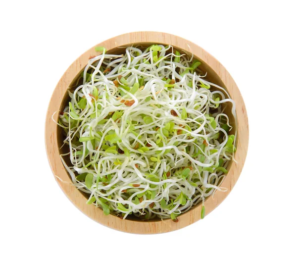 Yonca filiz beyaz zemin üzerine bir kase