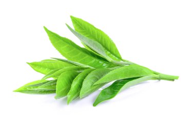 Beyaz arkaplanda izole çay yaprağı