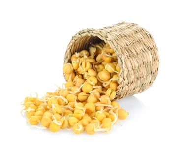 Beyaz arka plan üzerinde germinated nohut