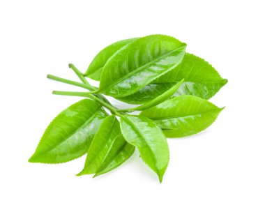 İzole edilmiş beyaz arkaplanda çay yaprağı