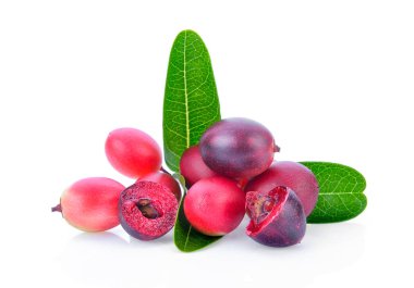 Bengal kuş üzümü, carandas-Erik, izole üzerinde beyaz arka plan.