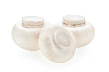 Mantar şampiyonu beyaz arkaplanda izole edildi