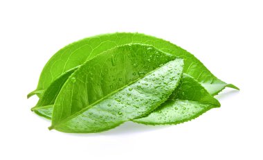 Beyaz arka plan üzerinde izole freah çay yaprağı