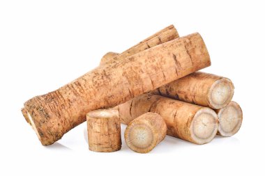 Dulavratotu kökü beyaz arka plan üzerinde