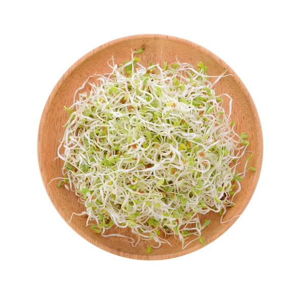 Alfalfa Sprout Деревянной Пластине Белом Фоне — стоковое фото