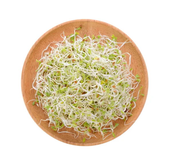 Alfalfa Sprout Houten Plaat Witte Achtergrond — Stockfoto