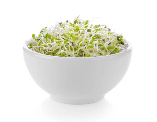 Alfalfa Sprout Een Kom Witte Achtergrond — Stockfoto