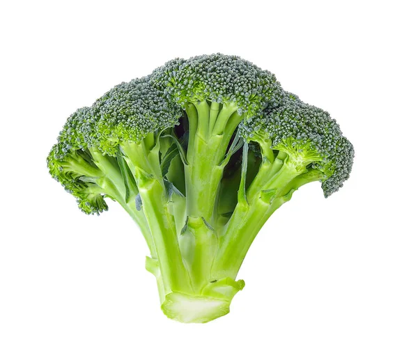 Broccoli Vit Bakgrund — Stockfoto