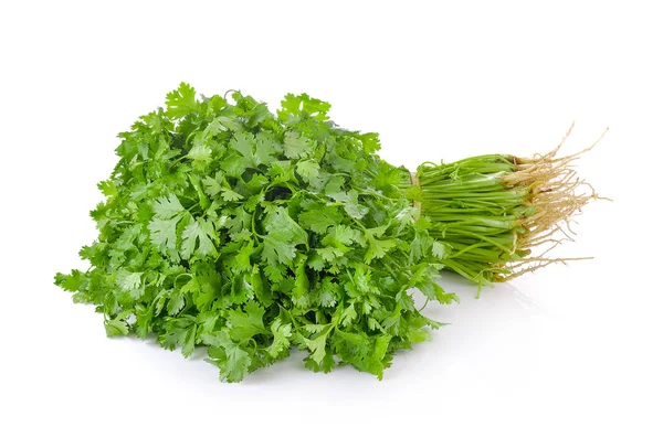 Coriander White Background — Stock Photo, Image