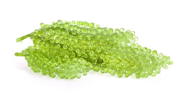 Sea Grapes Green Caviar Seaweed White Background — Stock Photo, Image