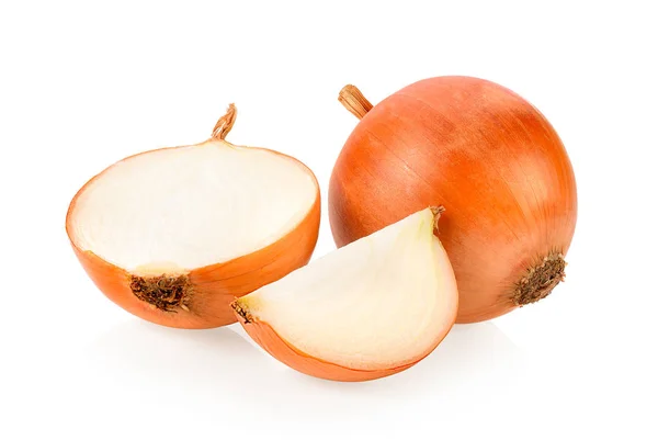 Onions Isolated White Background — Stock Photo, Image