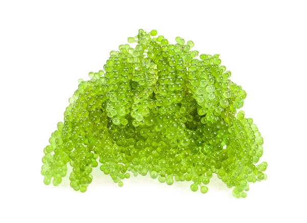 Uvas Marinas Caviar Verde Algas Sobre Fondo Blanco —  Fotos de Stock