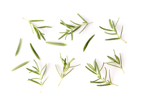 Rosemary Isolated White Background — Stock Photo, Image