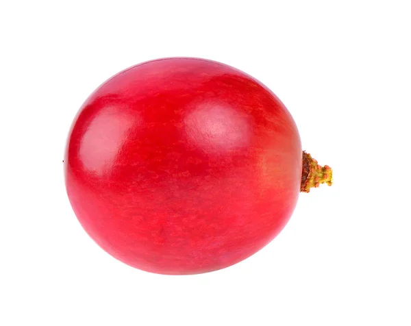 Dojrzałych Czerwonych Winogron Jagoda Jeden Białym Tle — Zdjęcie stockowe
