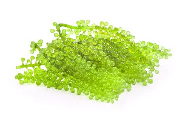 Beyaz arkaplanda deniz yosunu (yeşil havyar)