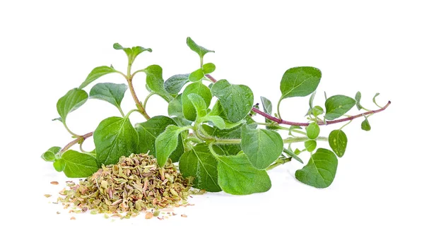 beyaz zemin üzerine kekik ot