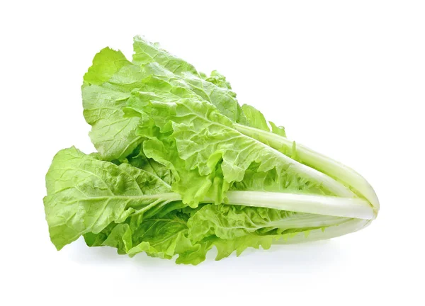 Sallad Vit Bakgrund — Stockfoto