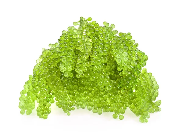 Uvas Marinas Caviar Verde Algas Sobre Fondo Blanco — Foto de Stock