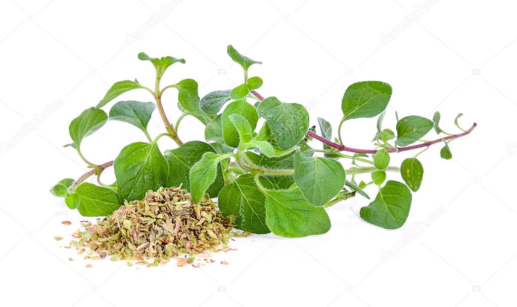 oregano herb on white background