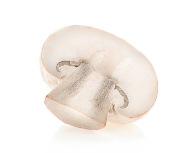 Mantar şampiyonu beyaz arkaplanda izole edildi